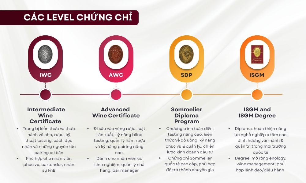 Lộ trình học của ISG được phân cấp rõ ràng, giúp người học phát triển từ nền tảng đến trình độ chuyên gia